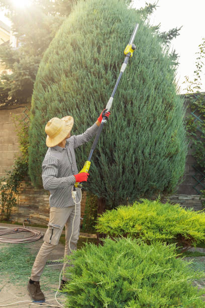 Lawn Watering Services in Gonzales, LA